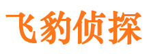 固始市侦探公司